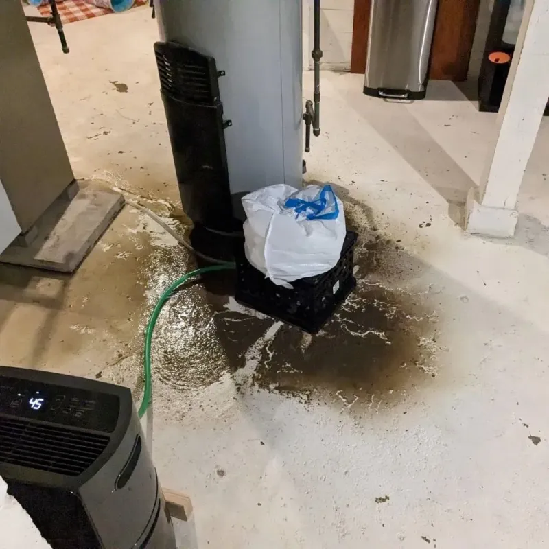 Sewage Backup Cleanup Service in Alpaugh, CA